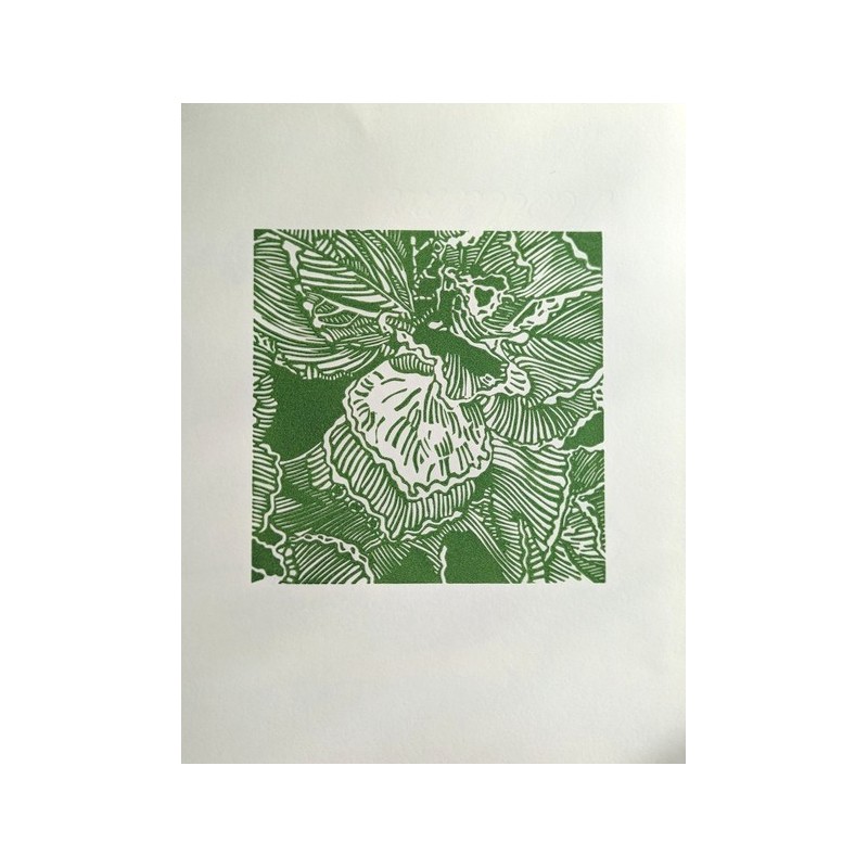 Succulents (Green)